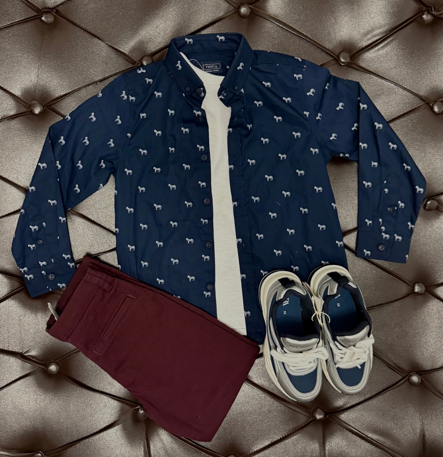 Next Navy Dog-Print Shirt + White Inner Tee + Wine Pants + Zara Navy Sneakers